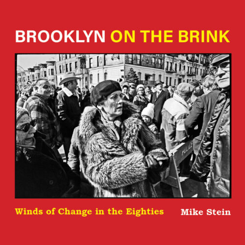 Brooklyn on the Brink cover